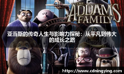 百达娱乐平台登陆入口